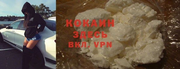 меф Арсеньев