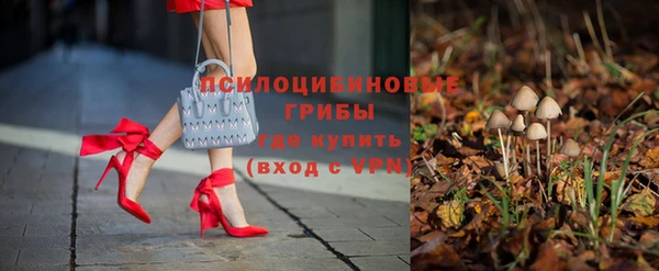 меф Арсеньев
