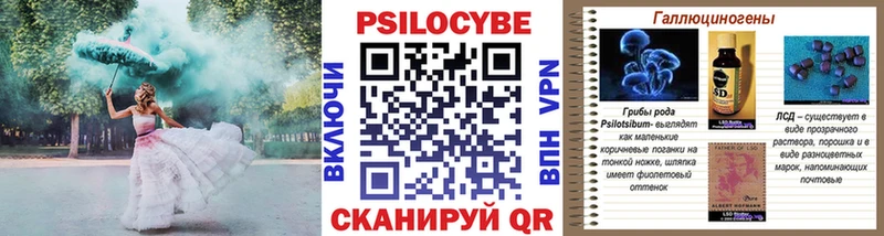 Купить где  Сухиничи  Галлюциногенные грибы Psilocybine cubensis 